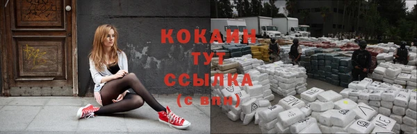 скорость Данков