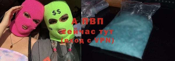 ешки Дедовск
