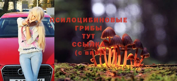 ешки Дедовск