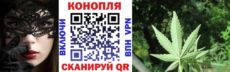 Канабис конопля Каргат